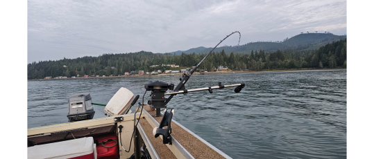 Fish'In The Sound - Puget that is
