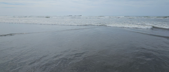 Fish'In The Sound - Puget that is
